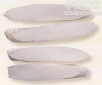 山藥飲片(經(jīng)干燥處理)