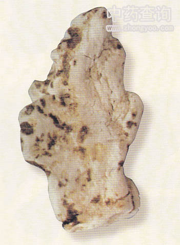 “大薯”(山藥混淆品)