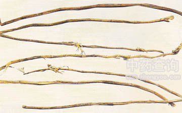 �R��ʯ��ˎ��