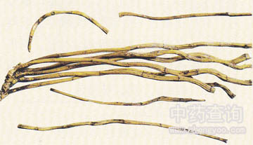 ���Oʯ��ˎ��