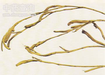 ��~��ʯ��ˎ��