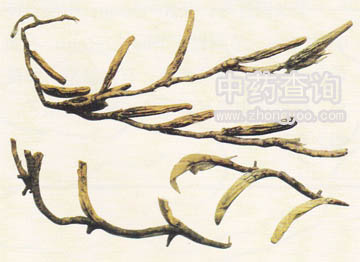 ʯ����(ʯ������Ʒ)