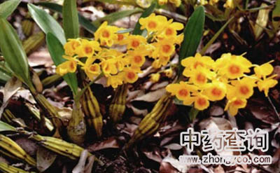 ���ʯ��Դֲ��