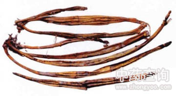 ���ʯ��ˎ��