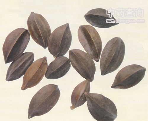 使君子藥材