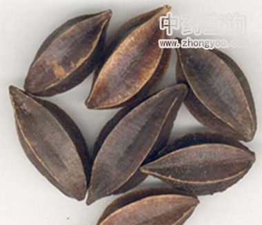 市場流通的使君子藥材飲片