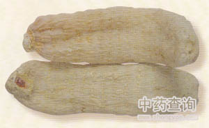 天麻藥材(栽培品)