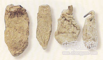 天麻藥材(野生品,藥材市場流通的商品)