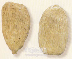 淀粉蒸至近熟用紗紙包后壓模偽制(天麻偽制品)