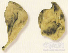 ������(�������Ʒ)