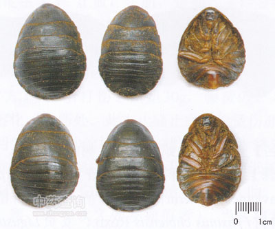 ���M�x��ˎ��