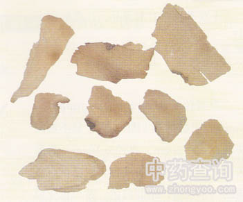 土茯苓藥材飲片(片狀)