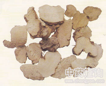 土茯苓藥材飲片(塊片狀)