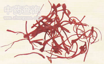 西紅花藥材(水浸泡后)