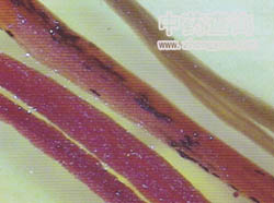 西紅花藥材(水浸泡后的局部放大圖)