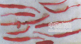 雄蕊冒充西紅花(西紅花偽制品)