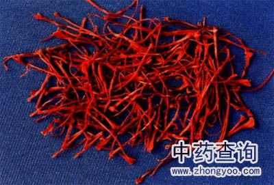 西紅花藥材飲片