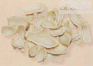 �����Ƭ(б����)