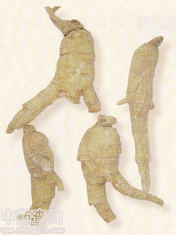 ����(��(gu��)�a(ch��n)����Ʒ)