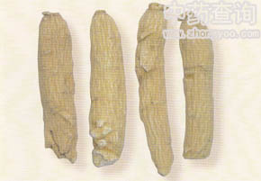 �����L(zh��ng)֦(����N��)