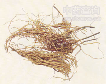 徐長(zhǎng)卿藥材圖片