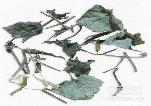 �����(һ�c(di��n)�t)�Ƭ�DƬ