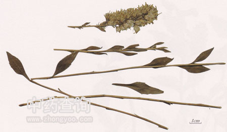 һ֦�S������ˎ��