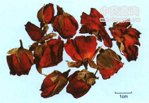 �¼����rˎ��