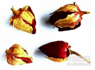 �¼�����ˎ��