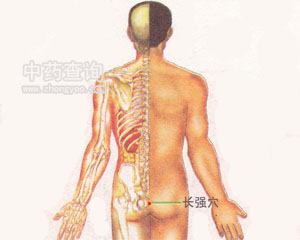 �L(zh��ng)��(qi��ng)Ѩλ