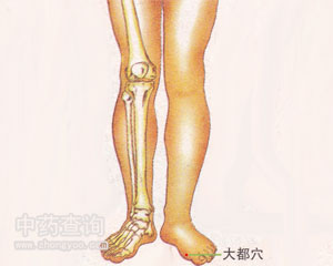 大都穴位