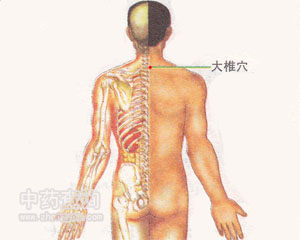 大椎穴位