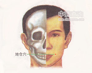 �؂}(c��ng)Ѩλ