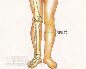 地機(jī)穴位
