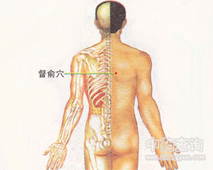 督俞穴位