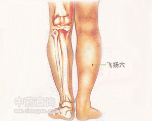 �w�P(y��ng)Ѩλ