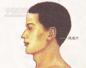 �L(f��ng)��