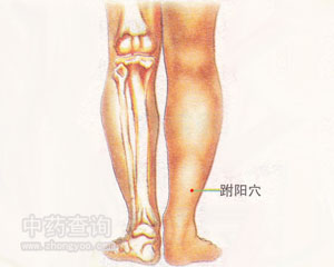 ���(y��ng)Ѩλ