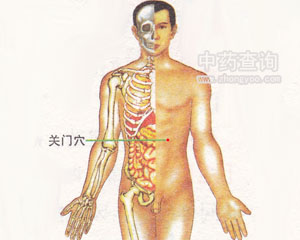 �P(gu��n)�TѨλ