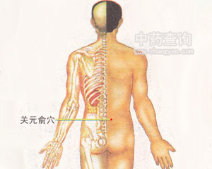 �P(gu��n)Ԫ��Ѩλ