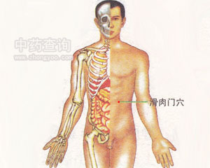 �����TѨλ