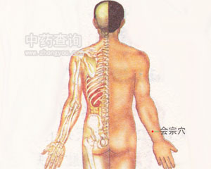 ��(hu��)��Ѩλ