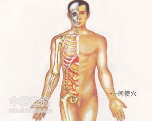 間使穴位