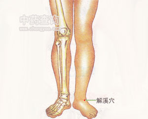 解溪穴位