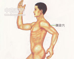 臑會(huì)穴位