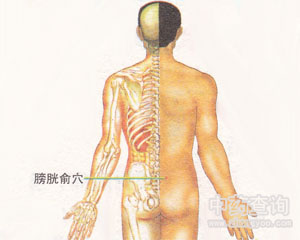 ������Ѩλ