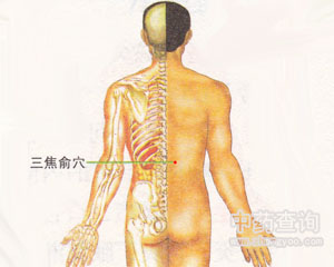 三焦俞穴位