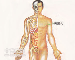 天溪穴位
