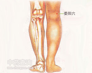 委陽穴位