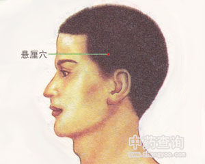 懸厘穴位